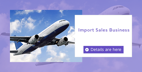 Import Sales Business