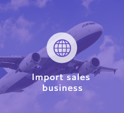 Import sales business